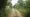 Exploring Landscape Easements: Types, Agreements, and Development Implications