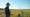 Understanding Transmission Corridor Land Services: A Complete Tutorial for Landowners