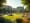 4 Steps to Implement Sustainable Zoning Policies Effectively