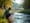 Ecosystem Service Valuation Software: Key Comparisons for Land Acquisition