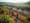 Land Reclamation Post-Solar Decommissioning: Steps and Solutions